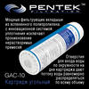 Угольный картридж PENTEK GAC-10, изображение 6
