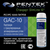 Угольный картридж PENTEK GAC-10, изображение 2