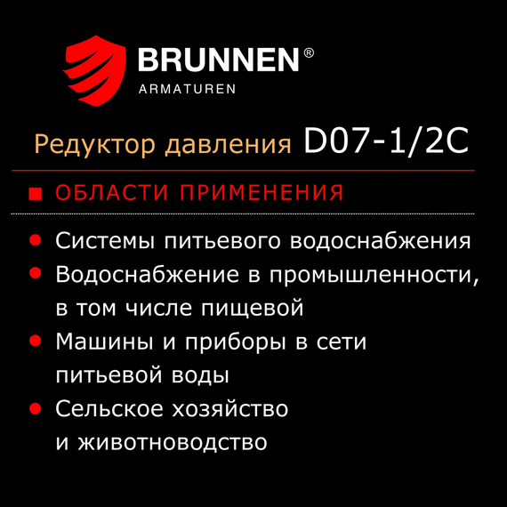 Редуктор давления Brunnen D07-1/2C, изображение 12